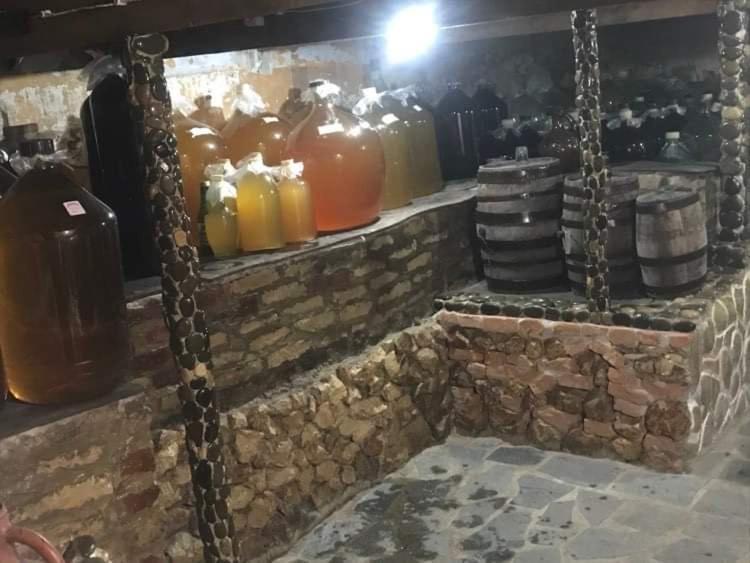 Hostel Saba كوتايسي المظهر الخارجي الصورة